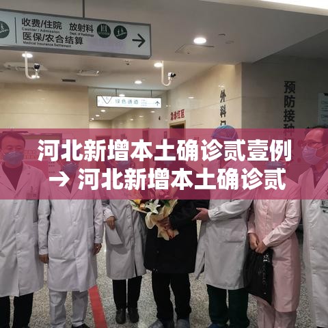 河北新增本土确诊贰壹例 → 河北新增本土确诊贰壹例病例