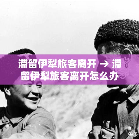 滞留伊犁旅客离开 → 滞留伊犁旅客离开怎么办