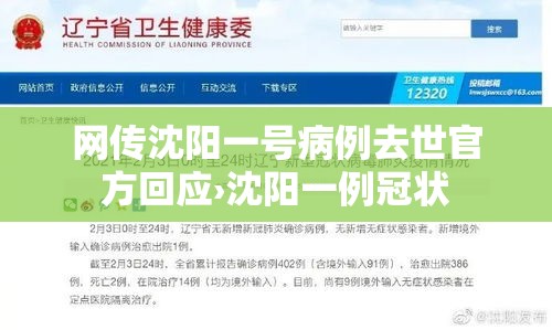 网传沈阳一号病例去世官方回应›沈阳一例冠状