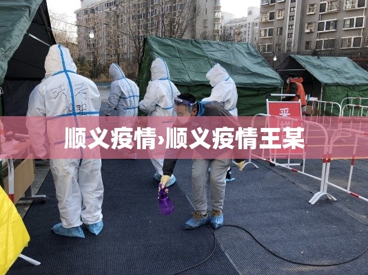 顺义疫情›顺义疫情王某 顺义疫情›顺义疫情王某