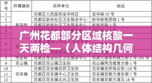 广州花都部分区域核酸一天两检—（人体结构几何体速写）