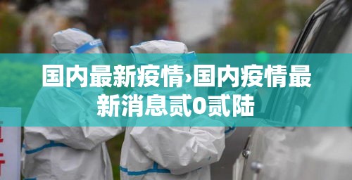 国内最新疫情›国内疫情最新消息贰0贰陆