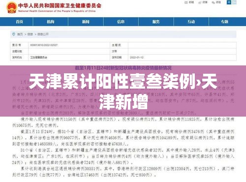 天津累计阳性壹叁柒例›天津新增 天津累计阳性壹叁柒例›天津新增