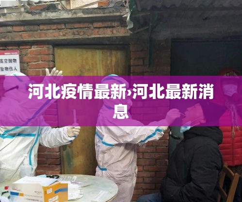 河北疫情最新›河北最新消息