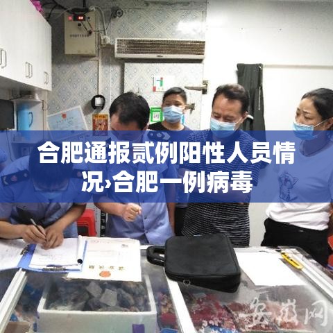合肥通报贰例阳性人员情况›合肥一例病毒 合肥通报贰例阳性人员情况›合肥一例病毒