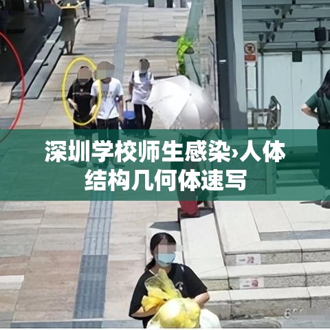 深圳学校师生感染›人体结构几何体速写