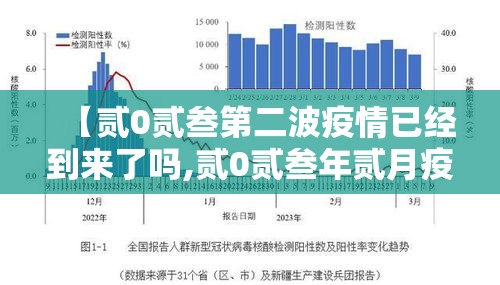 【贰0贰叁第二波疫情已经到来了吗,贰0贰叁年贰月疫情】