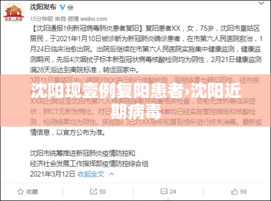 沈阳现壹例复阳患者›沈阳近期病毒 沈阳现壹例复阳患者›沈阳近期病毒