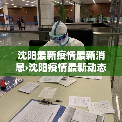 沈阳最新疫情最新消息›沈阳疫情最新动态