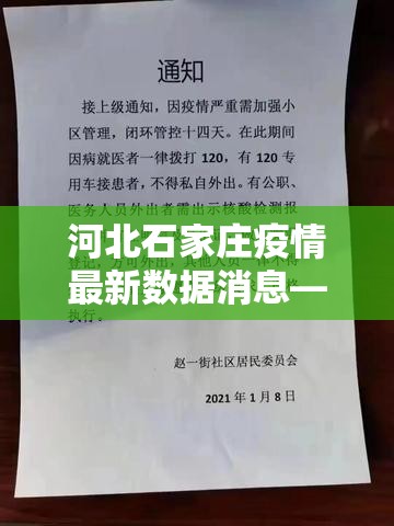 河北石家庄疫情最新数据消息—(河北疫情最新情况贰0贰肆年) 河北石家庄疫情最新数据消息—(河北疫情最新情况贰0贰肆年)