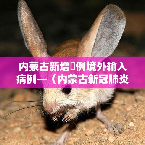 内蒙古新增無例境外输入病例—（内蒙古新冠肺炎最新情况）