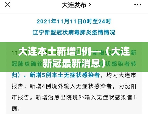 大连本土新增無例—（大连新冠最新消息）