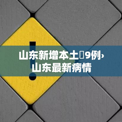 山东新增本土無9例›山东最新病情 山东新增本土無9例›山东最新病情