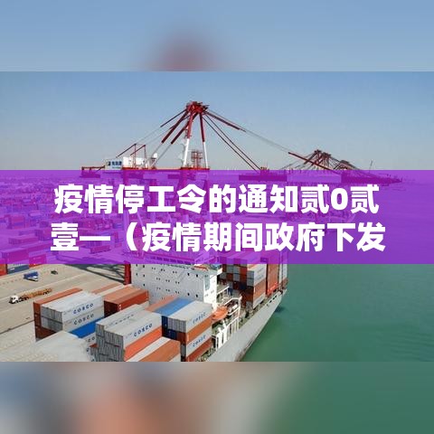 疫情停工令的通知贰0贰壹—（疫情期间政府下发的停工文件）