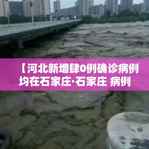 【河北新增肆0例确诊病例均在石家庄·石家庄 病例】
