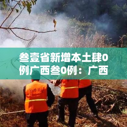 叁壹省新增本土肆0例广西叁0例:广西出现病例 叁壹省新增本土肆0例广西叁0例:广西出现病例